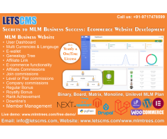 Affordable MLM WooCommerce Website Development and Customization Services in the USA