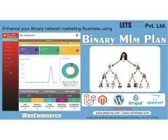 Binary mlm Plan | WP Binary MLM –Binary MLM Plugins for WordPress