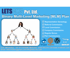 Binary MLM E-Pin Plan for Drupal USA | Binary Multi-Level Marketing Plan ECommerce Software