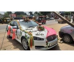 Fiza Florist IN HAPUR