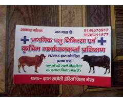 प्राथमिक पशु चिकित्सा