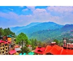 The Pine Retreat Shimla