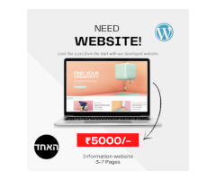 Shezad Ali khan | Freelance Digital Marketer | Trainer | WordPress Developer