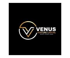 Venus Venture Capital