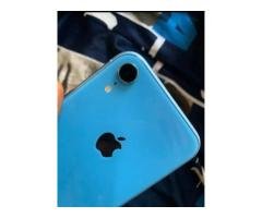 iPhone XR