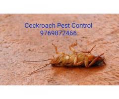 Pest control in Mumbai