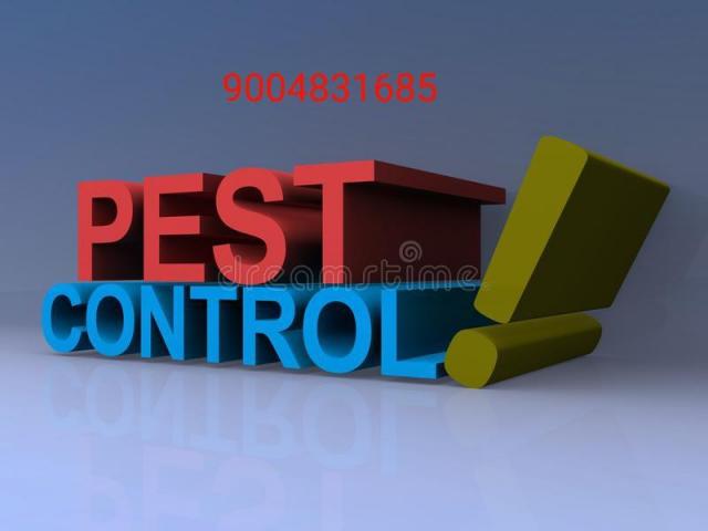 Pest control in Mumbai - 13/20