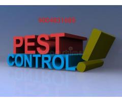 Pest control in Mumbai - Image 13/20