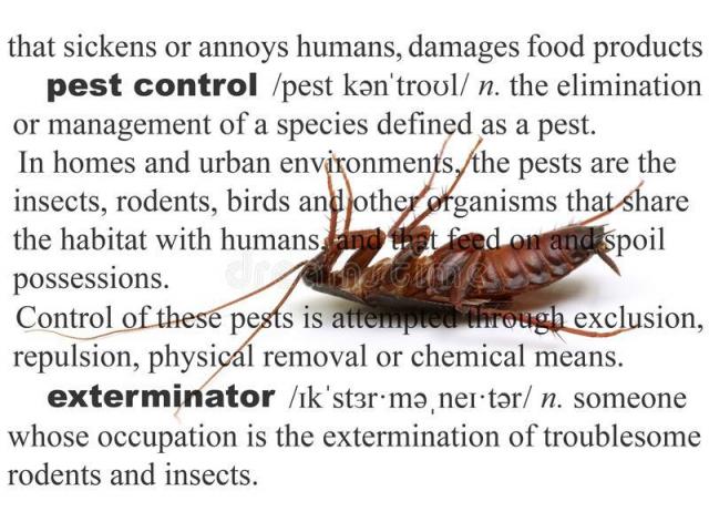Pest control in Mumbai - 19/20