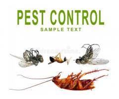 Pest control in Mumbai - Image 20/20
