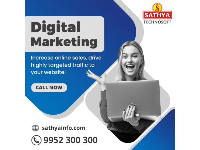 Digital Marketing Company in India | Sathya Technosoft - 1/1