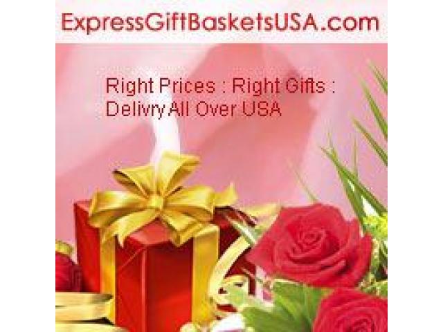 Send Gifts to United States of America and get Express Shipping at a very Cheap Price