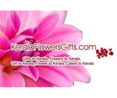 Online Cake Delivery in Kerala & Less-priced Captivating Deals