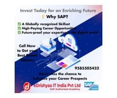 eDrishyaa IT India Pvt Ltd - SAP Authorized Training Academy