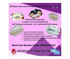 eDrishyaa IT India Pvt Ltd - SAP Authorized Training Academy