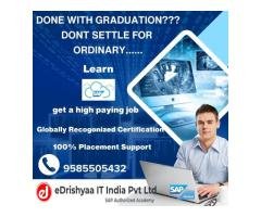 eDrishyaa IT India Pvt Ltd - SAP Authorized Training Academy