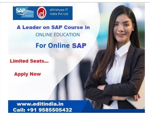 eDrishyaa IT India Pvt. Ltd. ( SAP Authorized Academy) - 1/1