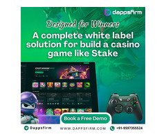 Stake Clone Script Designed to Mirror the Functionality of the Original Stake Platform
