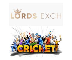 Lordsexch – Redefining Real-Time Sports Engagement