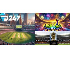 Win Big with D247: A Platform You Can Trust