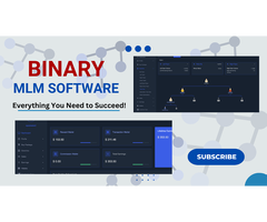 Powerful Binary MLM Software for Fast Network Expansion | Touchwood Technologies